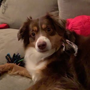 Meet your Posher, Andrew